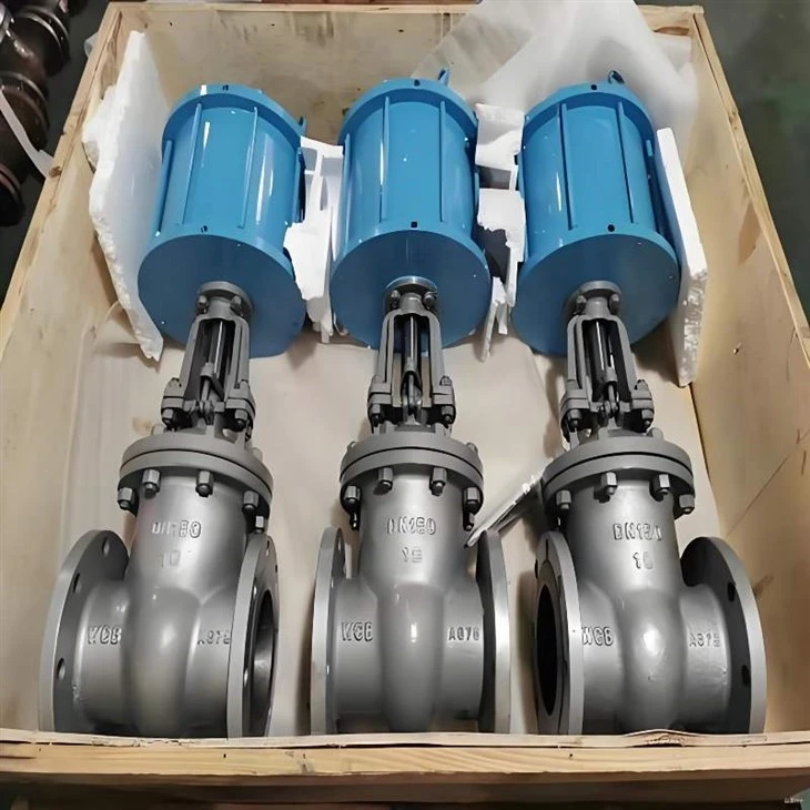 Premium Stainless Steel Slide Gate Valves for Industry Product Overview manufacturers